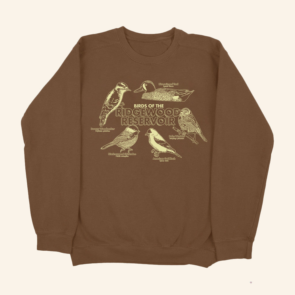 Small Orbit Merch Birds Of The Ridgewood Reservoir Sweatshirt Great Gifts For Mom - Lilybirchmarket