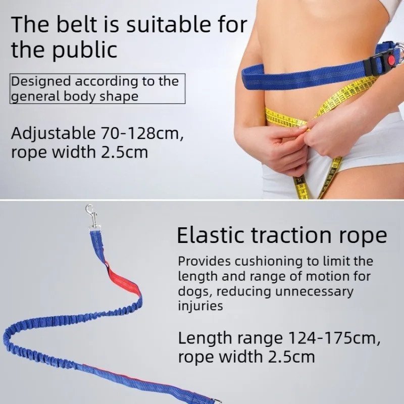 Hands-Free Waist Leash for Golden Retrievers - adjustable waist belt size guide