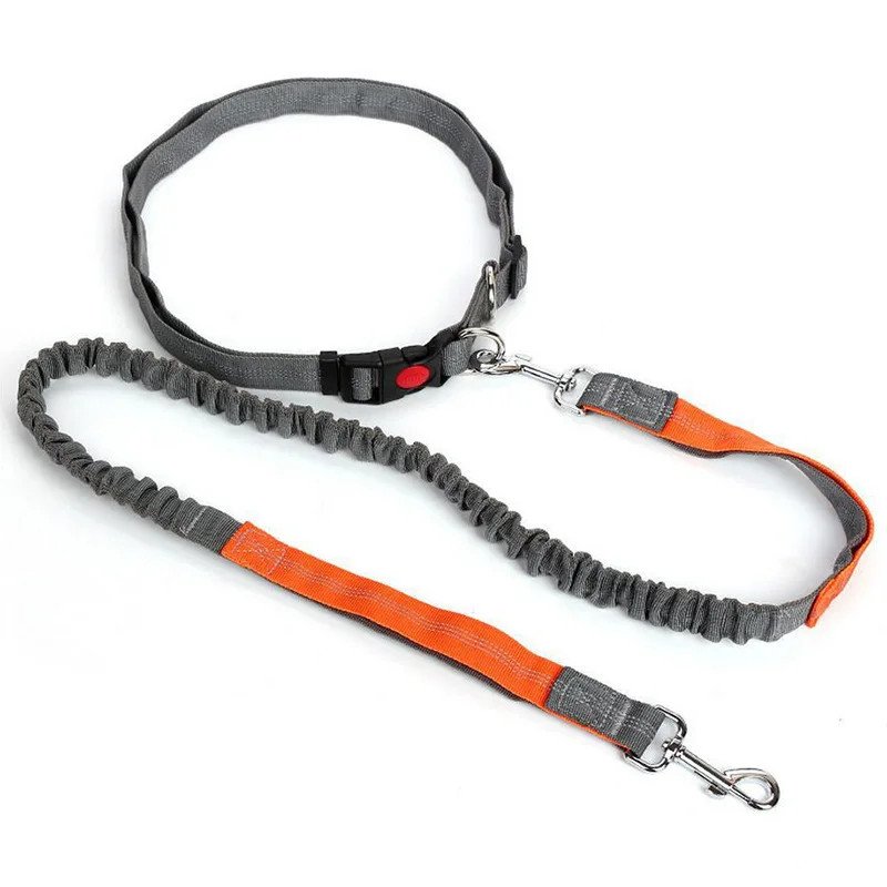 Hands-Free Waist Leash for Golden Retrievers - grey orange color variant
