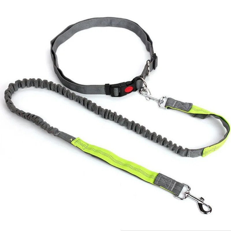 Hands-Free Waist Leash for Golden Retrievers - grey green color variant