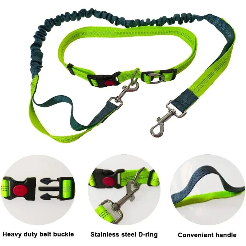 Hands-Free Waist Leash for Golden Retrievers - green leash buckle and handle details