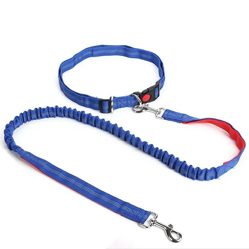 Hands-Free Waist Leash for Golden Retrievers - blue color variant