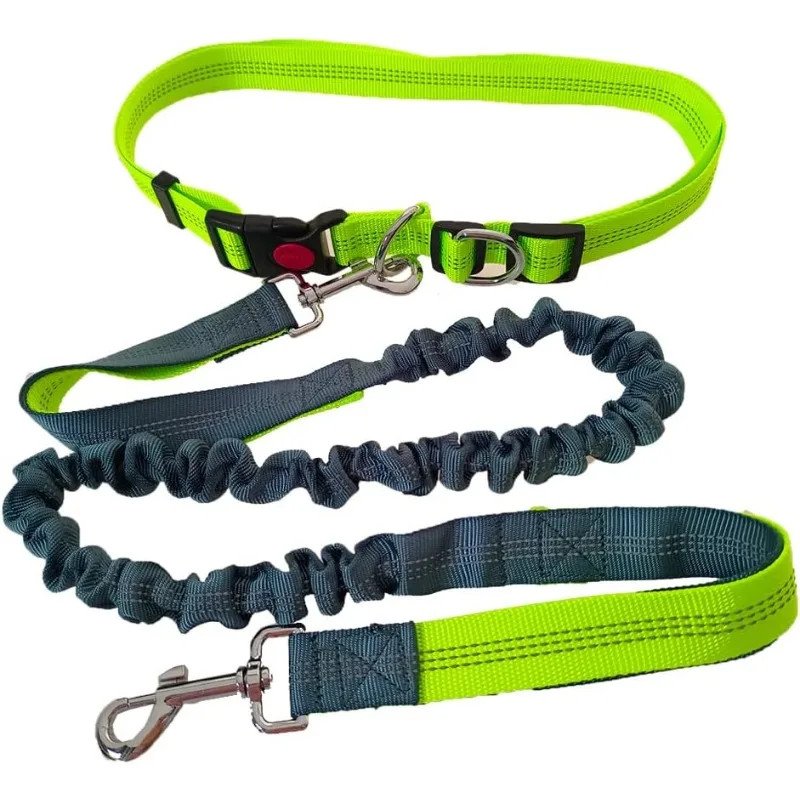 Hands-Free Waist Leash for Golden Retrievers - green and black bungee leash full view