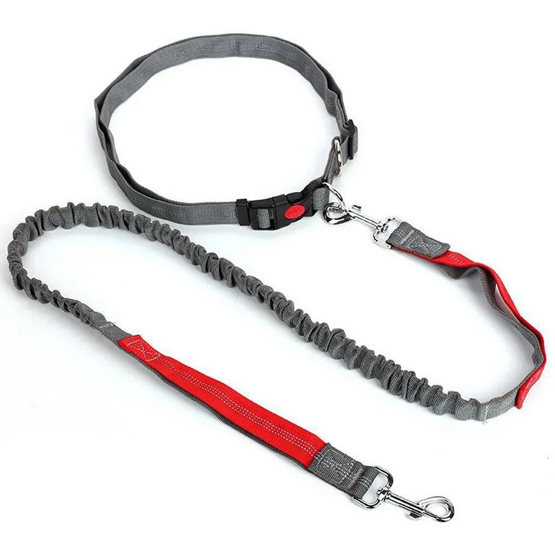 Hands-Free Waist Leash for Golden Retrievers - grey red color variant