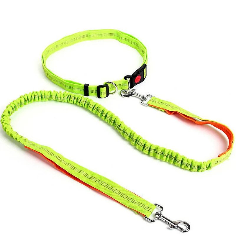 Hands-Free Waist Leash for Golden Retrievers - green color variant