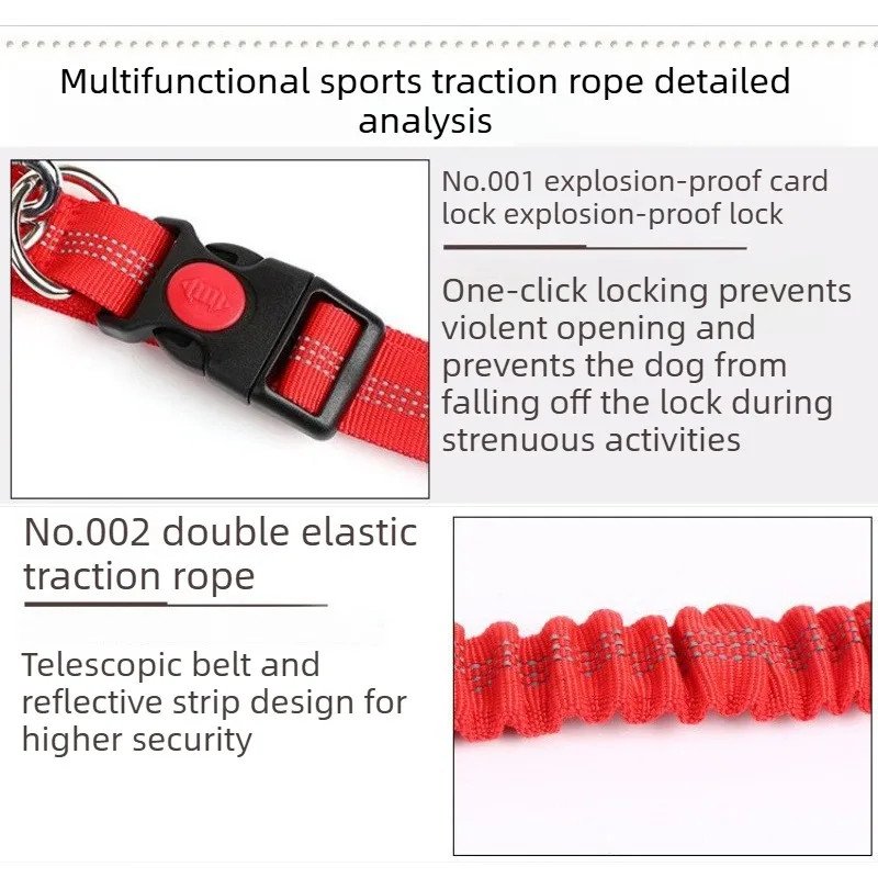 Hands-Free Waist Leash for Golden Retrievers - one-click locking buckle and double elastic details