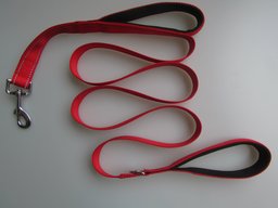 Double handle training leash for Golden Retrievers — red leash with black-trimmed padded handles and metal clasp, laid out in loops