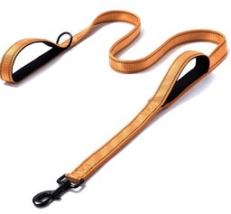 Double handle training leash for Golden Retrievers — orange reflective leash with padded traffic handle