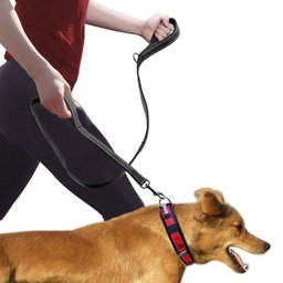 Double handle training leash for Golden Retrievers — person holding the traffic handle while walking a Golden Retriever