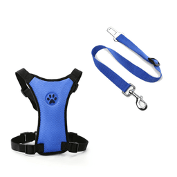 No-pull dog harness set for Golden Retrievers – blue breathable mesh harness with matching seatbelt tether strap