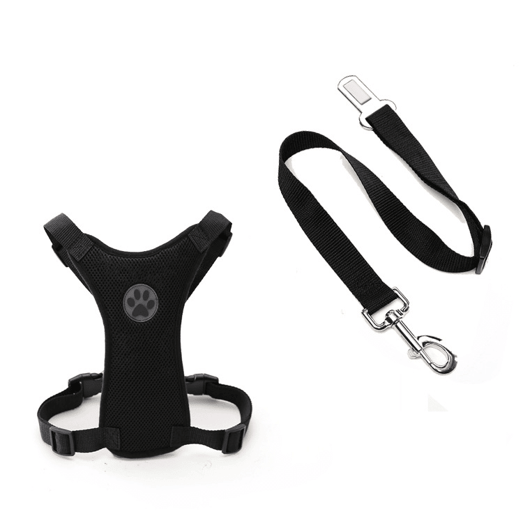 No-pull dog harness set for Golden Retrievers – black breathable mesh harness with matching seatbelt tether strap