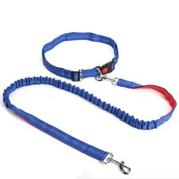 Hands-Free Waist Leash for Golden Retrievers - blue color variant