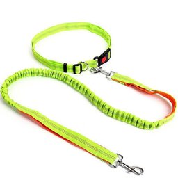 Hands-Free Waist Leash for Golden Retrievers - green color variant