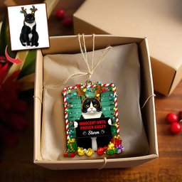 Cute Naughty Cat Acrylic Ornament - Personalized Custom Photo Gifts For Cat Lovers – view 2