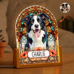 Custom Pet Portrait Stained Glass Style Memorial Gift For Pet Owners - Personalized Night Light