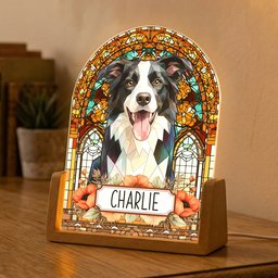 Custom Pet Portrait Stained Glass Style Memorial Gift For Pet Owners - Personalized Night Light – view 5