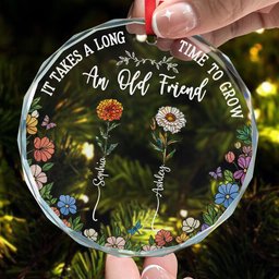 Long Time To Grow Old Friends - Personalized Glass Ornament – view 2