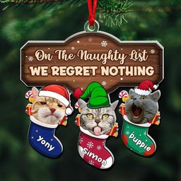 Custom Photo Gifts For Cat Lovers Christmas Acrylic Ornament