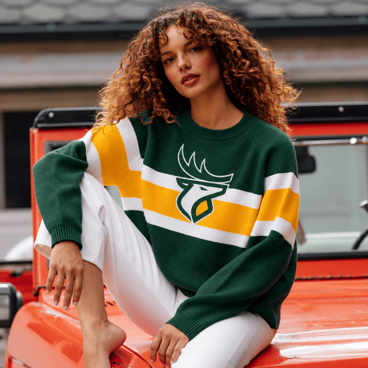 Edmonton Elks CFL Sweatshirt For Fan
