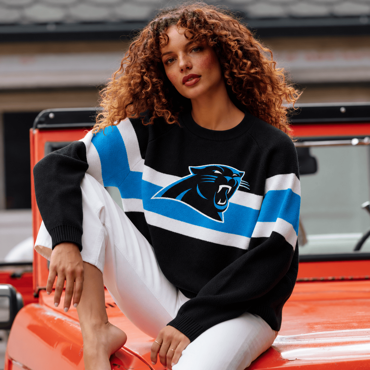 Carolina Panthers NFL Sweatshirt For Fan