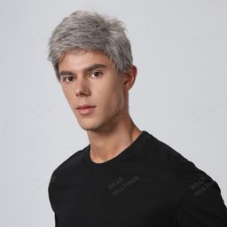 Edward Synthetic Wig