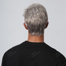 Edward Synthetic Wig rear