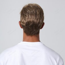 Paul Synthetic Wig rear
