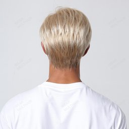 Greg Men Wig rear