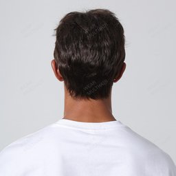 Brandon Men Wig rear