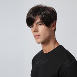 Andrew Men Wig