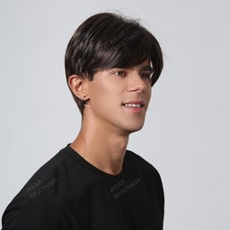 Andrew Men Wig side