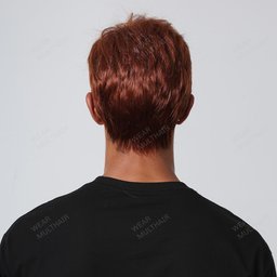 Harry Men Wig rear