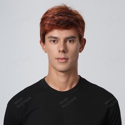 Harry Men Wig