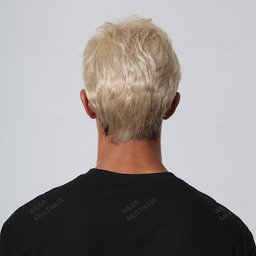 Rear Rob Men Wig rear