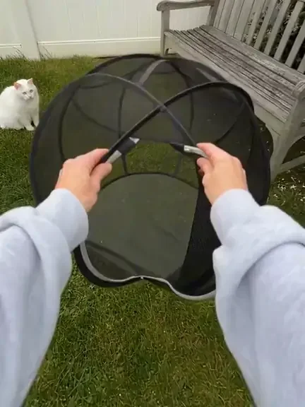 Zipping a white cat into the Purrbble