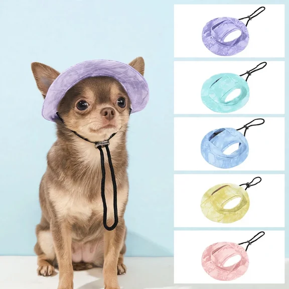 Chihuahua wearing adjustable purple sun hat