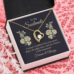 Soulmate Necklace Gift