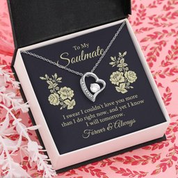 Soulmate Necklace Gift