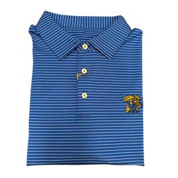 Kentucky Wildcats Merch Peter Millar Hemlock Polo Shirt Wildcats Game Apparel