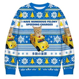 I Have Numerous Felonies For Speeding Christmas Ugly Sweater Funny Christmas Outfits