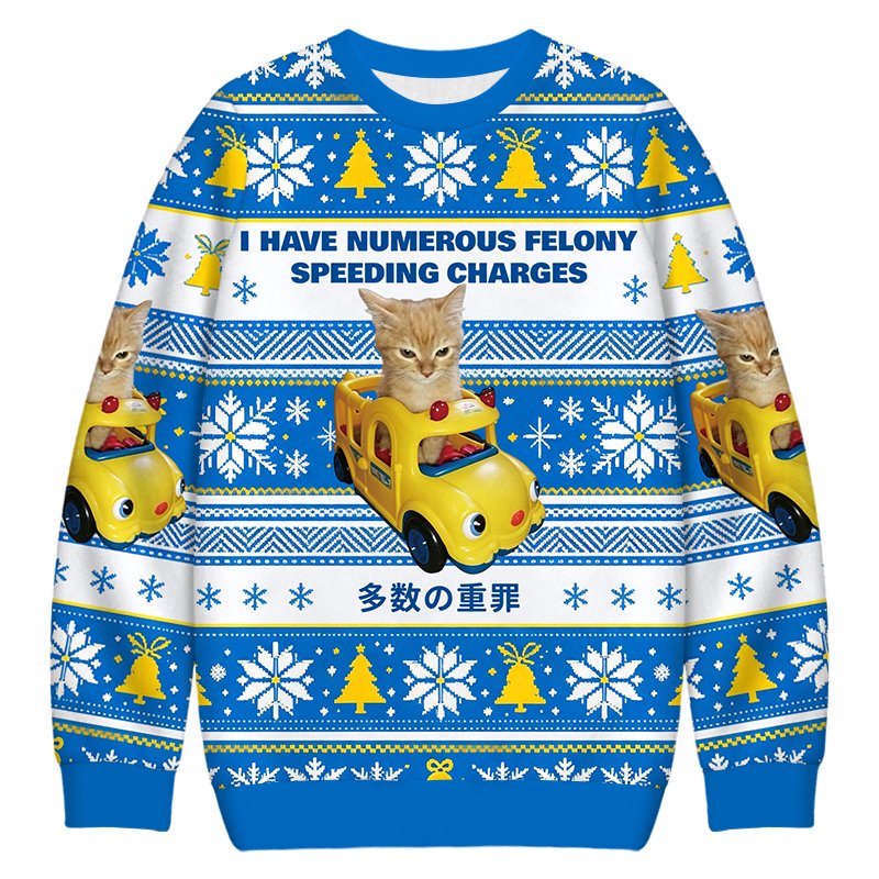I Have Numerous Felonies For Speeding Christmas Ugly Sweater Funny Christmas Outfits