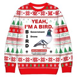 Government Funny Pigeon Puns Christmas Ugly Sweater Xmas Holiday Clothing Friend Gifts