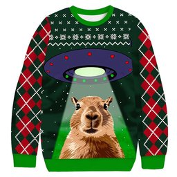 Alien Capybara Christmas Ugly Sweater Funny Xmas Gear Presents For Dad
