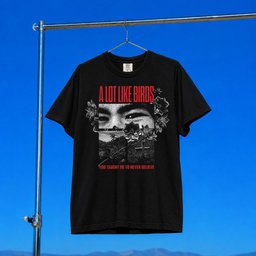 A Lot Like Birds Merch 2026 You Taught Me T-Shirt Music Lover Gifts For Him