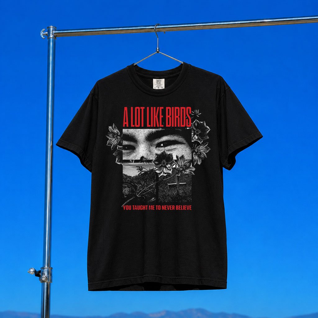 A Lot Like Birds Merch 2026 You Taught Me T-Shirt Music Lover Gifts For Him