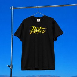 CG5 Merch 2026 I Don_t Like You T-Shirt Black Unique Gift For Brothers