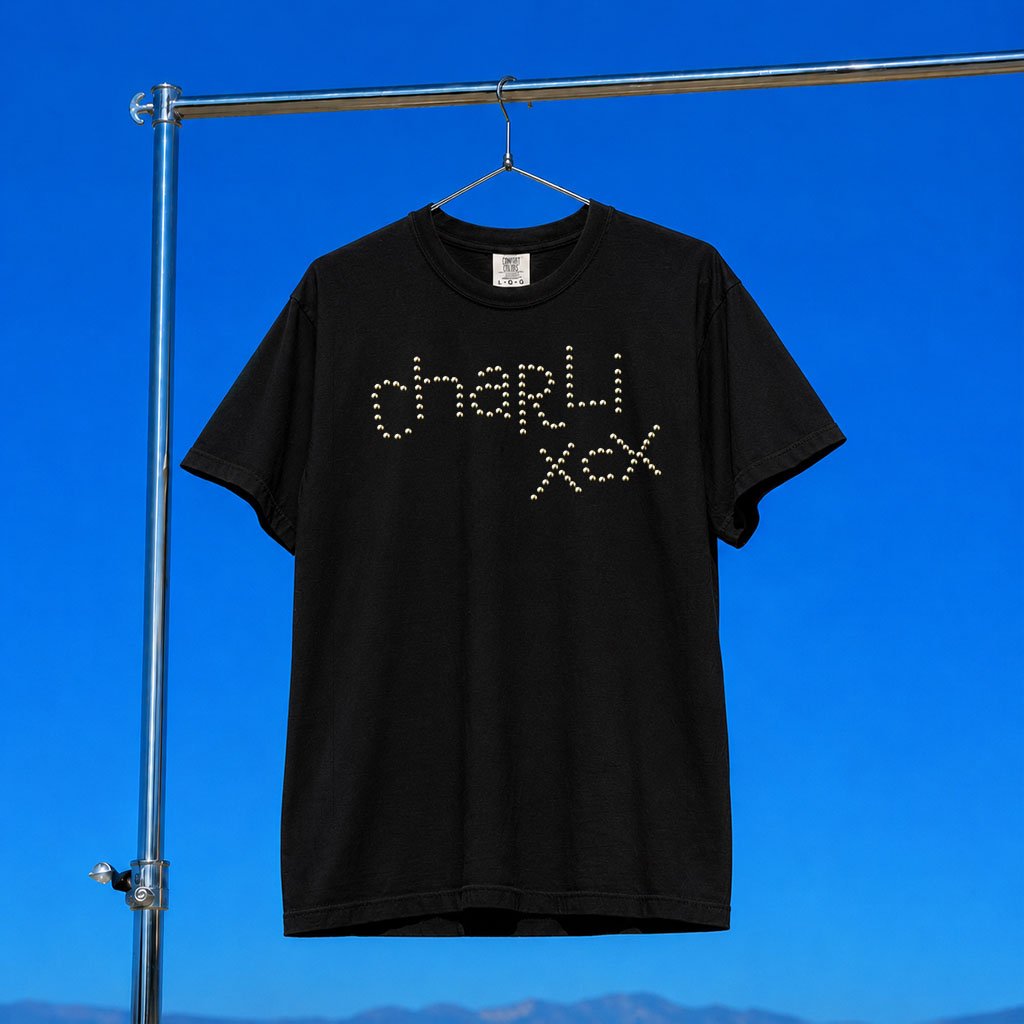Charli XCX Merch 2026 Charli XCX T-Shirt Present Ideas For Music Lovers