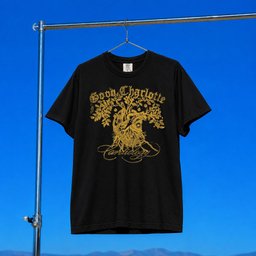 Good Charlotte Merch 2026 Reimagined Cardiology T-Shirt Gift Ideas For Rock Lovers
