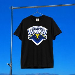PBR Merch 2026 Nashville Stampede Logo T-Shirt Black Gift For Bull Riding Lovers