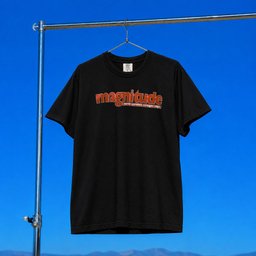 Magnitude XXX Merch 2026 TWFE Black Shirt Best Gifts For Band Fans